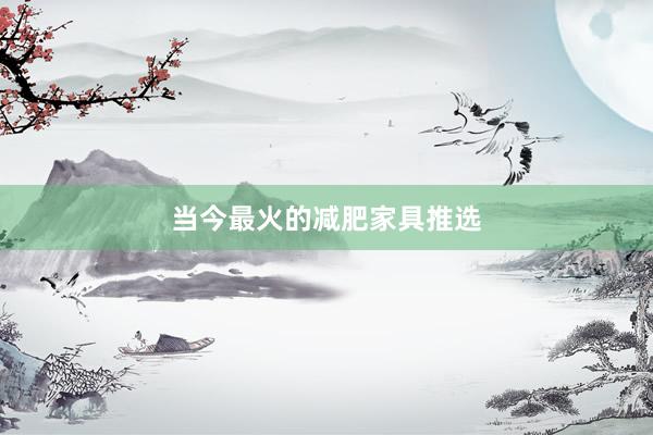当今最火的减肥家具推选