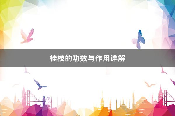 桂枝的功效与作用详解