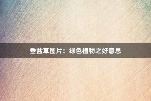 垂盆草图片：绿色植物之好意思